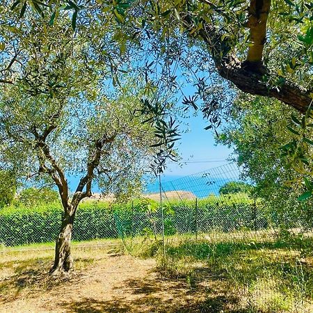 Villa In Collina Vista Mare Roseto Degli Abruzzi Exteriér fotografie