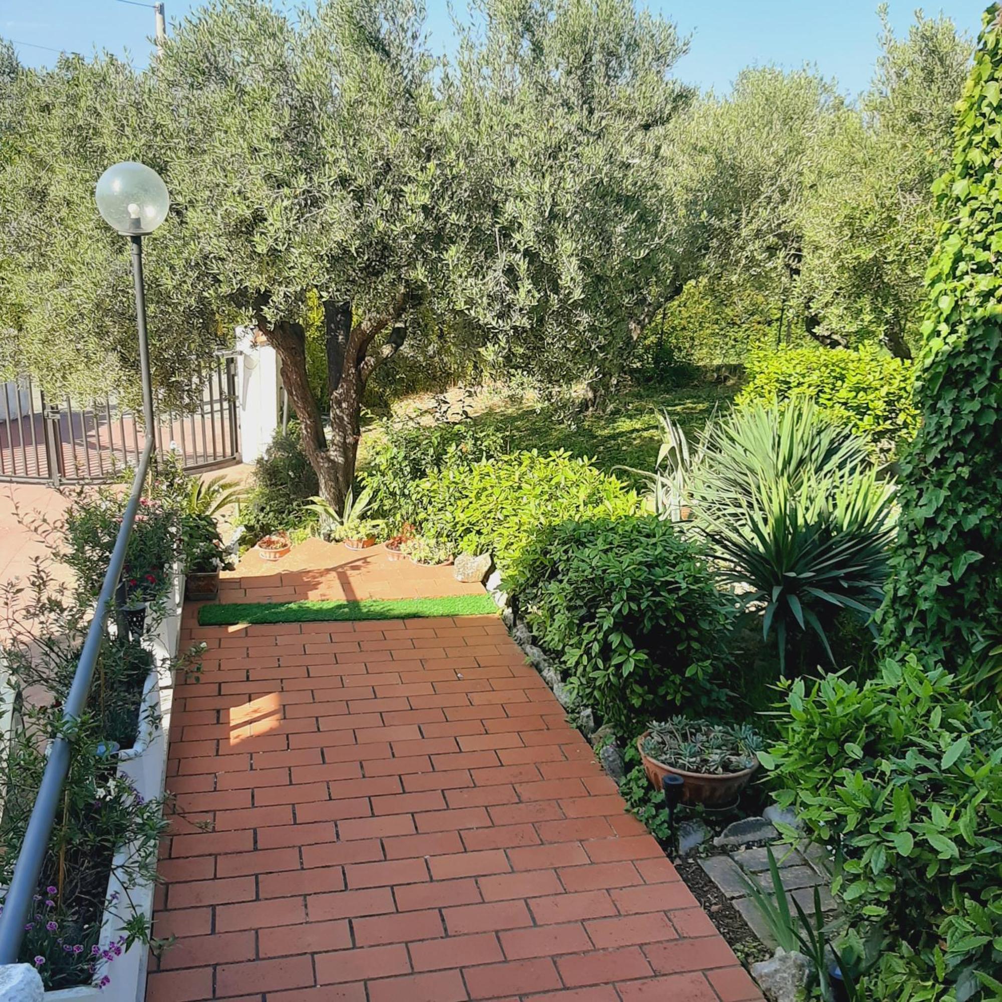 Villa In Collina Vista Mare Roseto Degli Abruzzi Exteriér fotografie