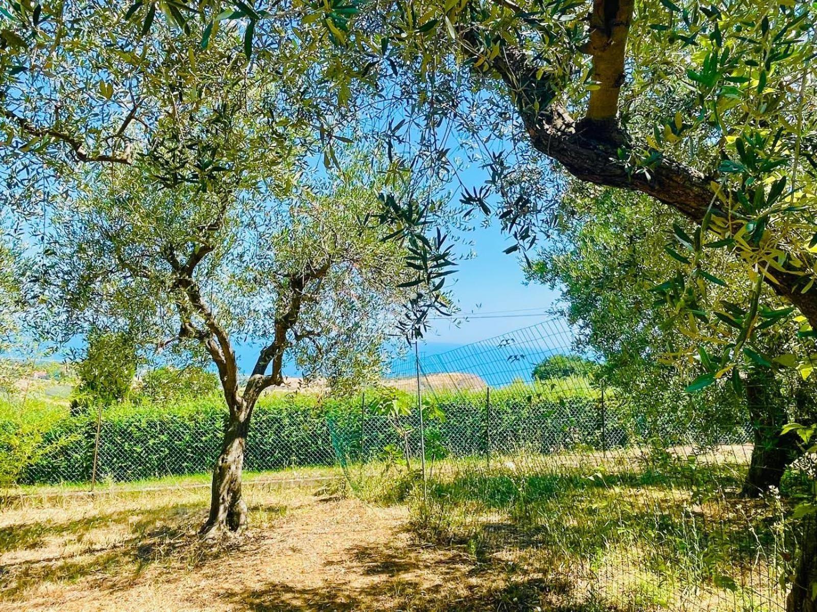 Villa In Collina Vista Mare Roseto Degli Abruzzi Exteriér fotografie