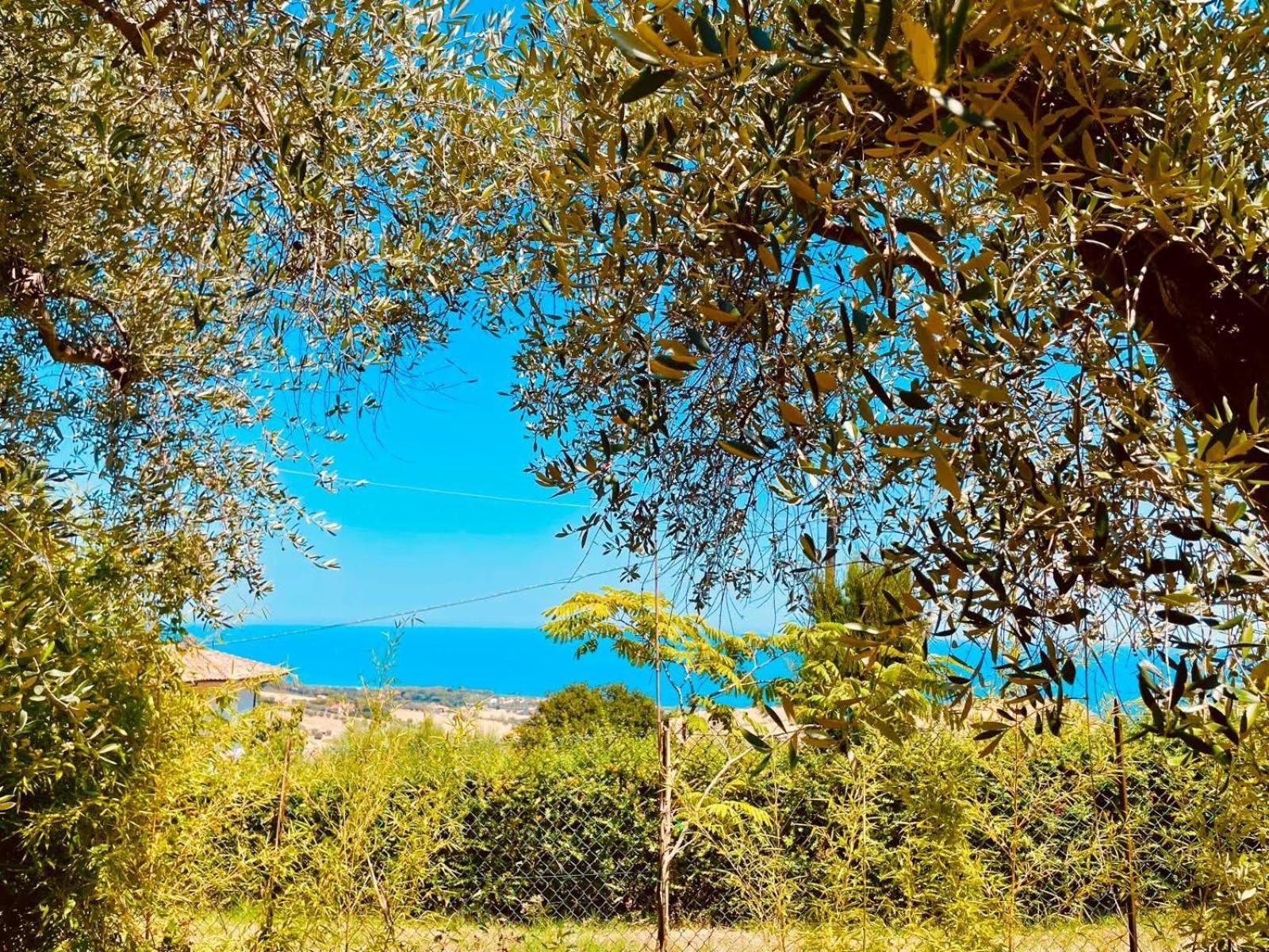 Villa In Collina Vista Mare Roseto Degli Abruzzi Exteriér fotografie